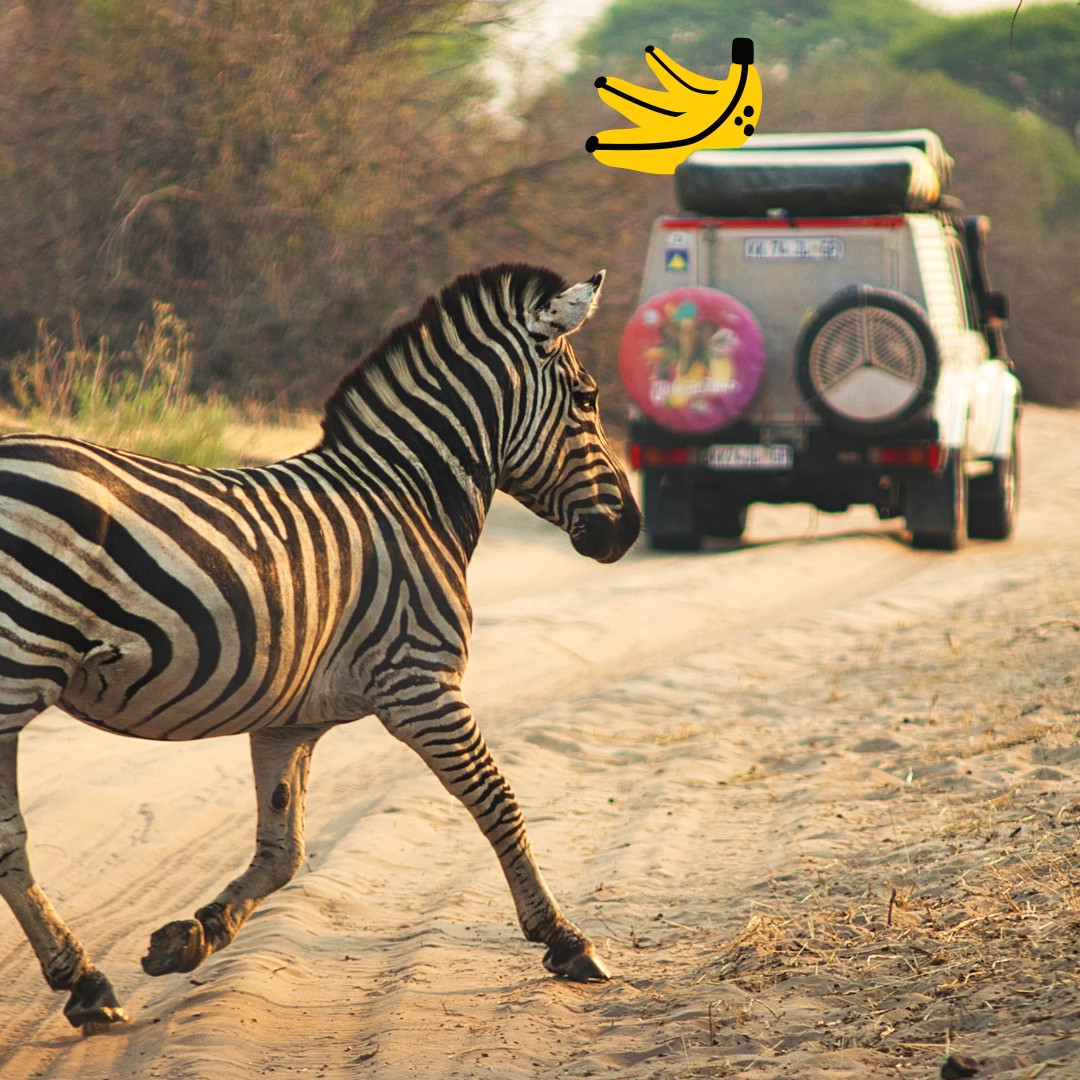10_Botswana_Immagini_Slideshow.webp